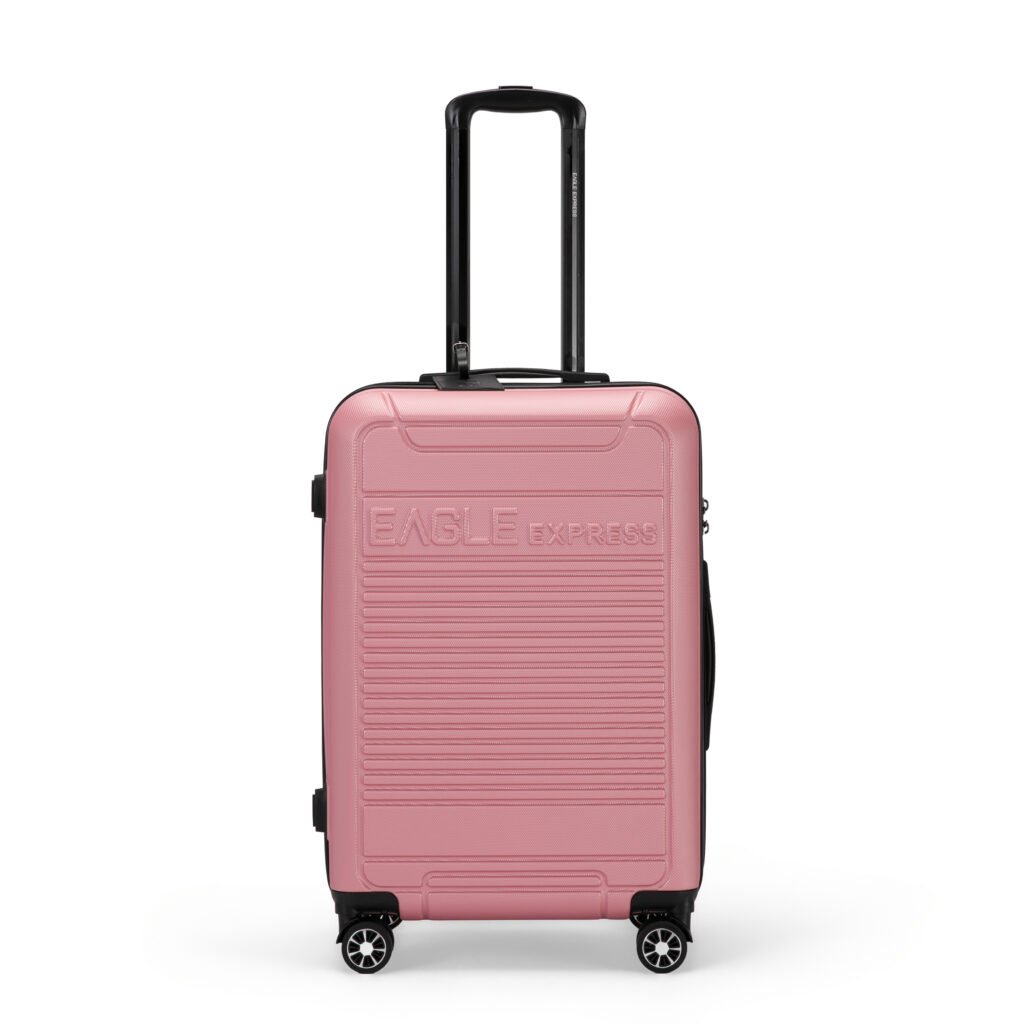 Defender ABS Hard Check-in Luggage | 24 inches