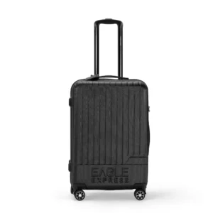 Fusion ABS Hard Check-in Luggage | 24 inches